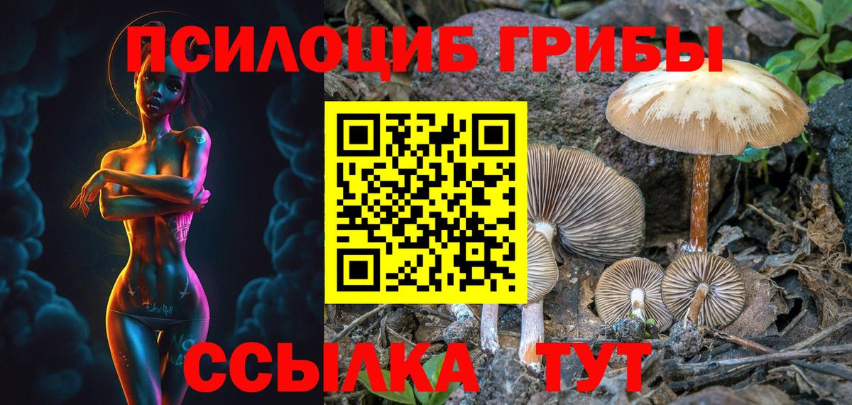 Лиски  Галлюциногенные грибы Psilocybe  Вход с VPN  Псилоцибиновые грибы Magic Shrooms 