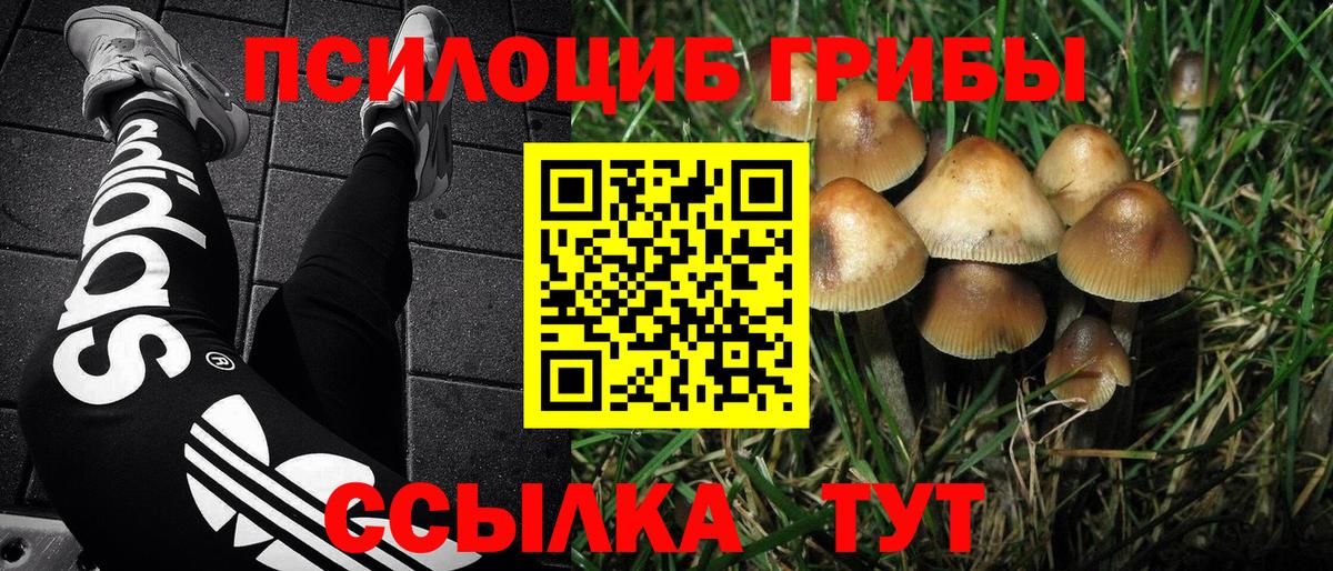 Галлюциногенные грибы Cubensis Лиски